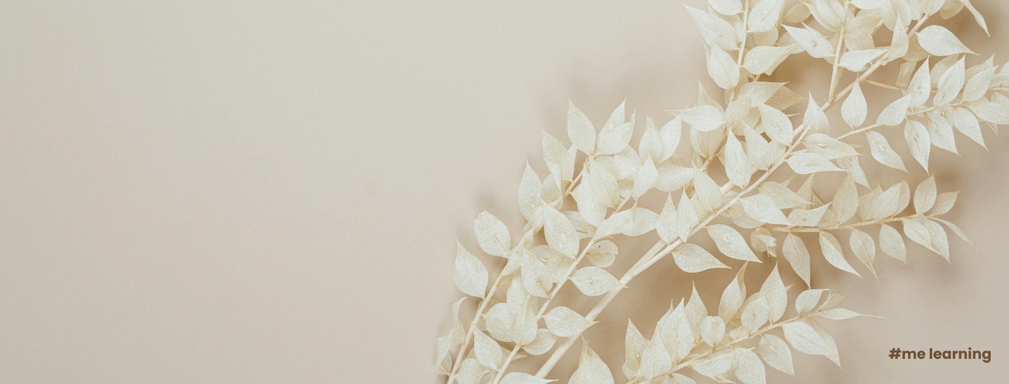 banner web tienganh